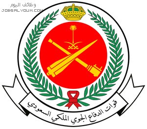 الدفاع الجوي