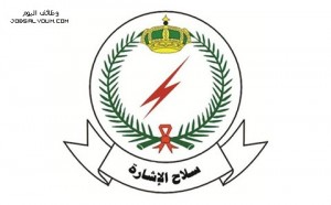 معهد سلاح الإشارة معهد سلاح الإشارة