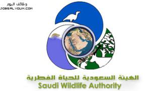 وظائف الهيئة السعودية للحياة الفطرية 1444