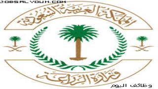 وظائف وزارة الزراعة 1444 رابط التقديم الرسمي